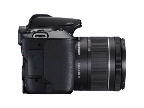 Canon EOS 250D + 18-55mm IS STM.Picture5